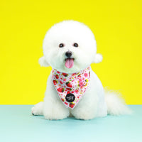 Bundle // Berrily Ever After