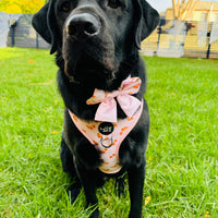 Sailor Bow Tie // Bonjour