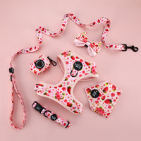 Bundle // Berrily Ever After