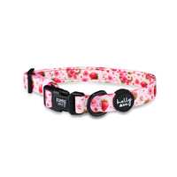Collar // Berrily Ever After