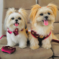 Velvet Harness // Queen Bee