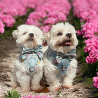 Harness // Walk Me To Denimia