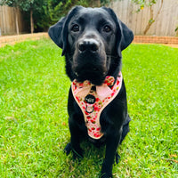 Bundle // Berrily Ever After