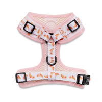 Harness // Bonjour