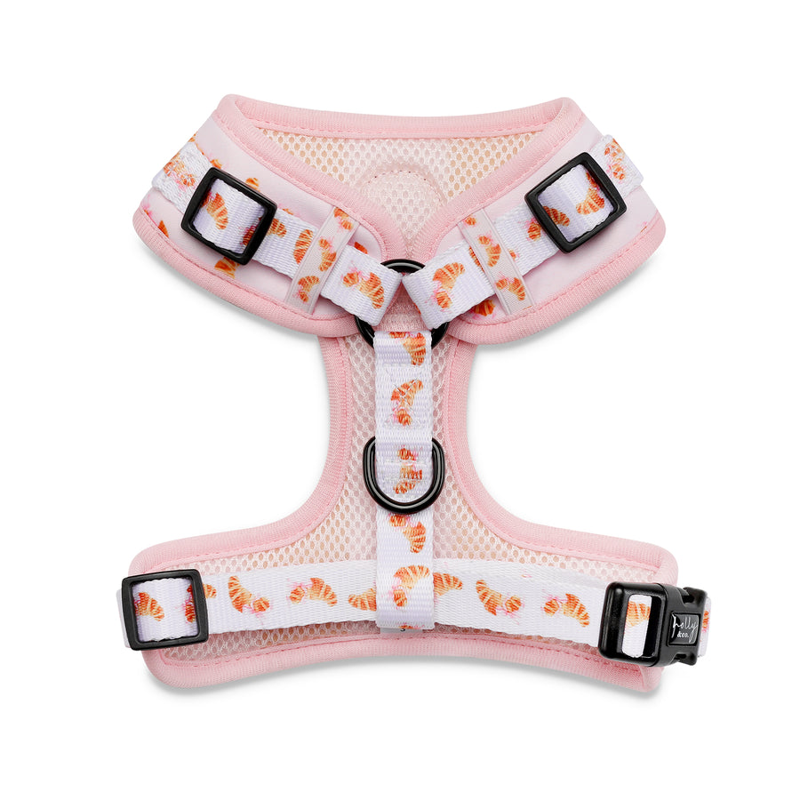 Harness // Bonjour