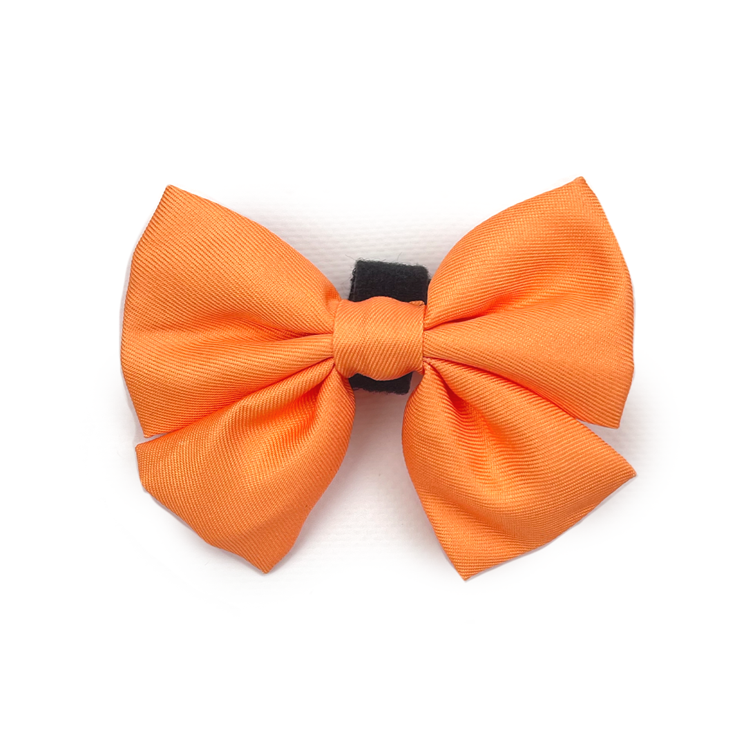 Sailor Bow Tie // Blorange