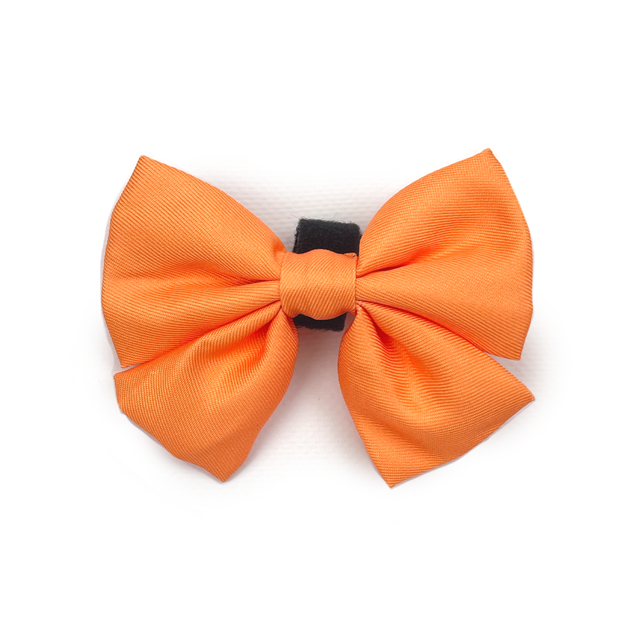 Sailor Bow Tie // Blorange