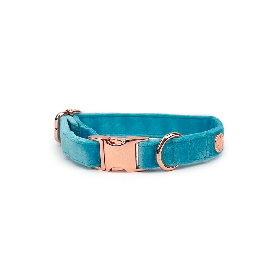 Velvet Collar // Caribbean Blue