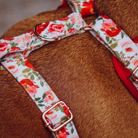 Velvet Harness // Holly Floral